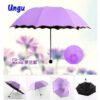 Magic Umbrella (Imported)