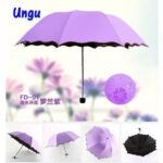 Magic Umbrella (Imported)